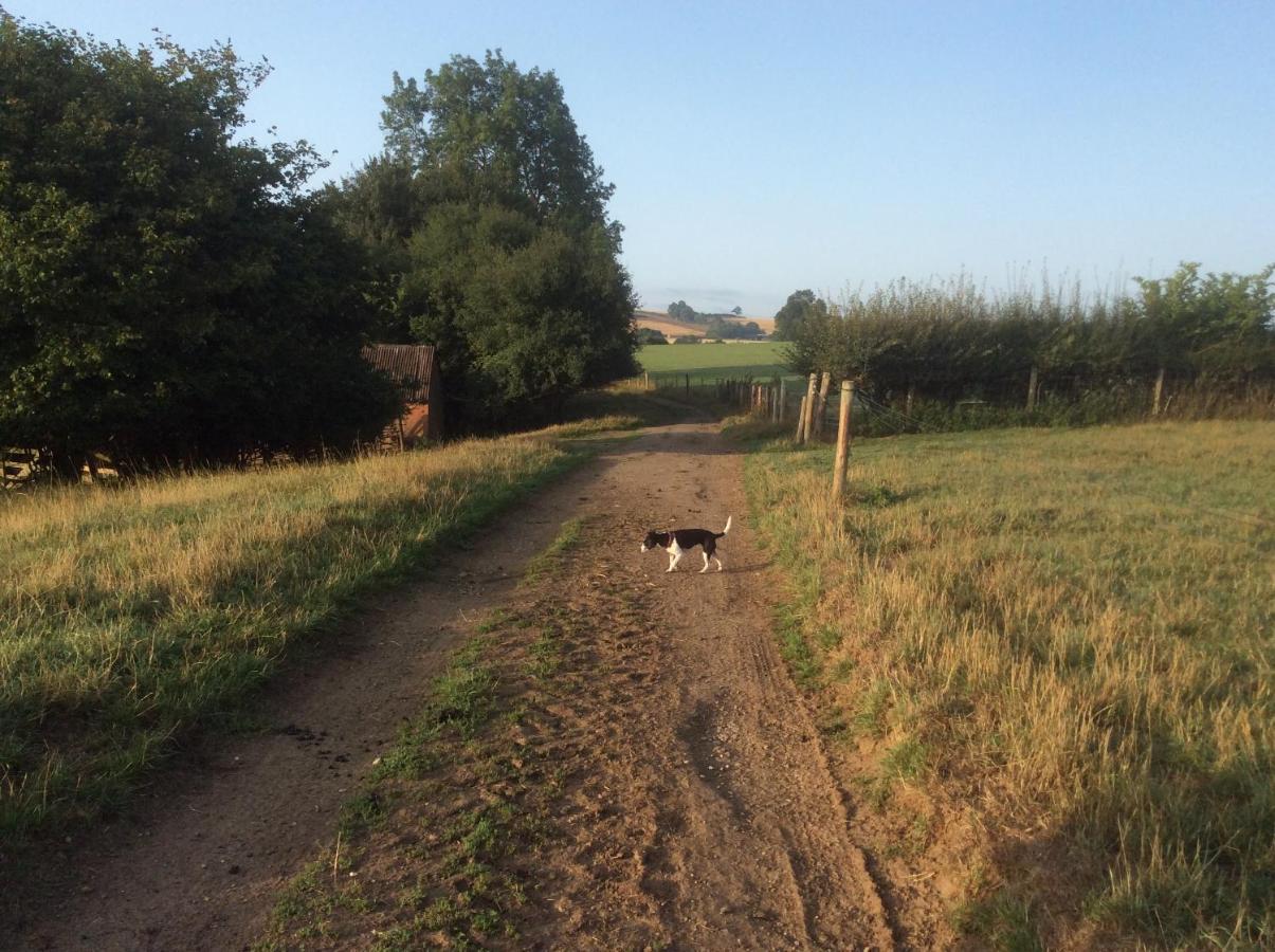 The Rear Of The Plough,Everdon. Daventry Bagian luar foto